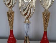 Юні нікопольські музиканти вибороли Гран-Прі на Міжнародному фестивалі-конкурсі “Million voices”