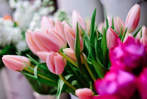 Зі святом весни! З 8 березня! Зі святом весни! З 8 березня!