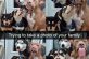 Самые смешные фото собак из интернета