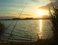 На Дніпропетровщині заборонять ловити рибу