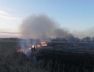 На Дніпропетровщині жінка підпалила листя – знищила два гектари (Фото)