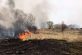 На Дніпропетровщині спалахують масштабні пожежі (Фото)