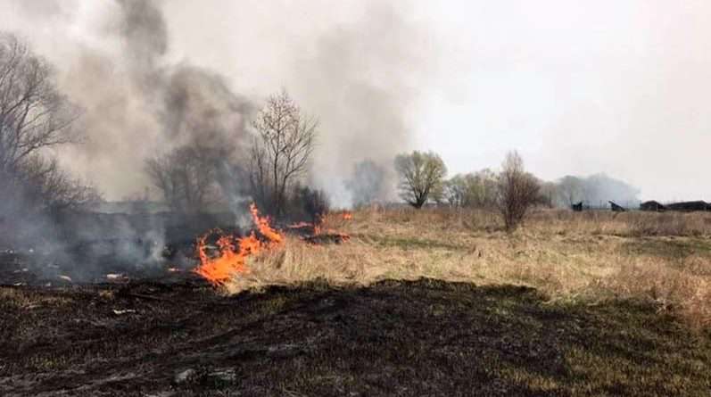 На Дніпропетровщині спалахують масштабні пожежі (Фото) На Дніпропетровщині спалахують масштабні пожежі (Фото)