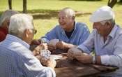 В Италии поймали группу пенсионеров, которые играли в карты в лесу