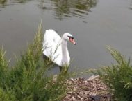 Погода у Дніпрі на 18 квітня