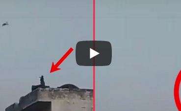 Обезьяна неплохо развлеклась, запуская воздушного змея Обезьяна неплохо развлеклась, запуская воздушного змея