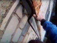 Ревнивец залез по трубе к новому бойфренду девушки: результат оказался неожиданным