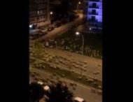 Во время карантина сотни овец вышли на пустынные улицы города в Турции