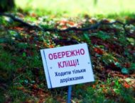 Жителей Днепропетровщины атакуют клещи