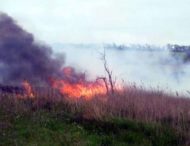 На Дніпропетровщині поблизу траси сталася масштабна пожежа (Фото)