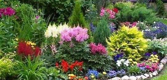 Новомосковськ квітучий: у місті запустили флешмоб Новомосковськ квітучий: у місті запустили флешмоб