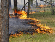 На Дніпропетровщині заборонили відвідувати ліси