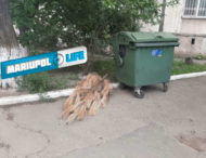 В Мариуполе на мусорник выбросили новогоднюю елку