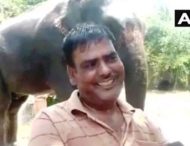 Индиец завещал половину своего состояния двум слонам