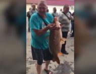 Мужчина поймал полуметровую рыбу посреди улицы