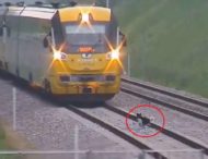 Упрямый пёс тормозил движение поезда