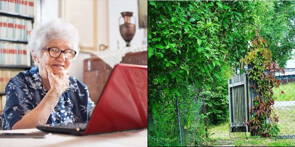 Бабушка 3 часа искала кота, который сидел на видном месте Бабушка 3 часа искала кота, который сидел на видном месте