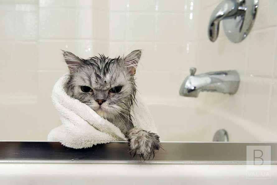 ЩЕ ОДНА АВАРІЯ ВОДОПРОВІДНОЇ МЕРЕЖІ. ДЕ ПЕРЕКРИЛИ ВОДУ- АДРЕСИ . ЩЕ ОДНА АВАРІЯ ВОДОПРОВІДНОЇ МЕРЕЖІ. ДЕ ПЕРЕКРИЛИ ВОДУ- АДРЕСИ .