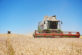 На Дніпропетровщині вже зібрали понад 760 тис тонн ранніх зернових