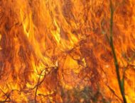 На Дніпропетровщині оголосили попередження про пожежну небезпеку