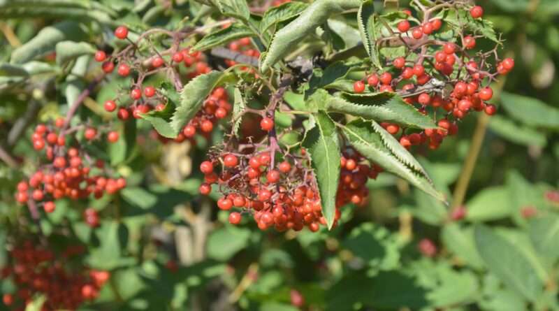 Погода у Дніпрі на 8 липня Погода у Дніпрі на 8 липня