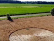 Круг диаметром 25 метров появился на поле одной из венгерских ферм