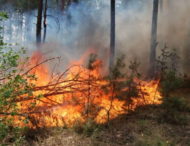 На Дніпропетровщині людська недбалість призводить до лиха