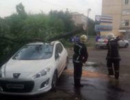 На Дніпропетровщині гілка впала на автомобіль (Відео)