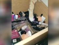 Кот попытался стащить у хозяйки косметику