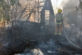На Дніпропетровщині загоряння трави призвело до лиха (Фото)