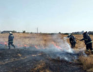 У Павлограді з вогню врятували крихітне життя (Фото)