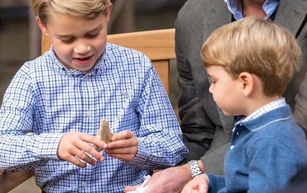 Подаренный принцу Джорджу зуб доисторической акулы требуют вернуть Подаренный принцу Джорджу зуб доисторической акулы требуют вернуть