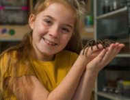 Восьмилетняя девочка делит комнату с полусотней тарантулов