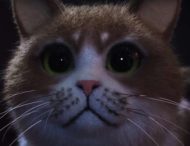 Первый фильм ужасов для кошек появился в интернете