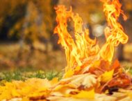 Побачили вогнище з опалого листя – викликайте поліцію