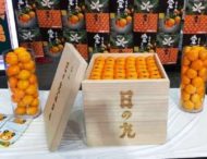 Ящик мандаринов продали за миллион йен