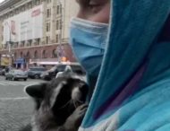 Енот стал участником митинга в центре Харькова