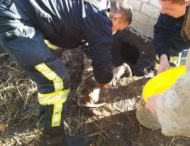 На Днепропетровщине сотрудники ГСЧС спасли малыша (фото)