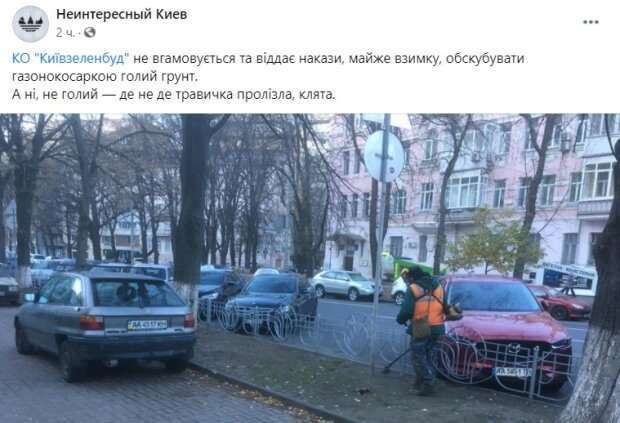 Коммунальщик косил невидимую траву Коммунальщик косил невидимую траву