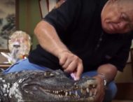 Японец считает крокодила членом семьи