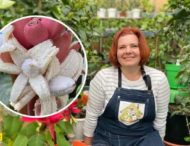В Запорожье женщина вырастила цветные бананы