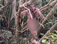 Голый грабитель несколько дней прятался от крокодилов на деревьях
