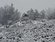 На Дніпропетровщині ботанічний сад перетворився на зимову казку (Фото)