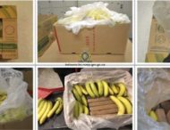 В супермаркеты завезли бананы с наркотиками
