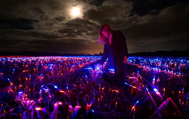 Лук-порей превратили в инопланетное растение Лук-порей превратили в инопланетное растение