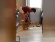 Женщина научила кота правильно точить когти