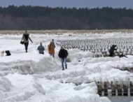 Впервые за несколько лет замерзло Балтийское море