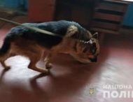 На Дніпропетровщині службовий пес допоміг затримати вбивцю