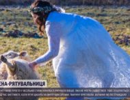 Невеста пожертвовала платьем ради овцы