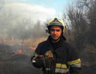 В Днепропетровской области пожарные спасли маленького совенка (фото)